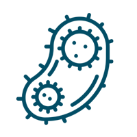 flora_10_icon_03