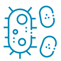 flora_8_icon_03
