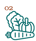 icon_02