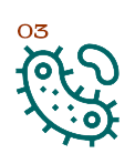 icon_03