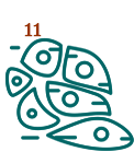 icons_11