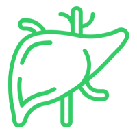 flora_8_icon_g_01