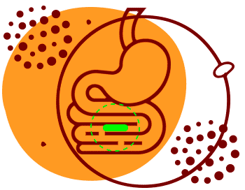 micro